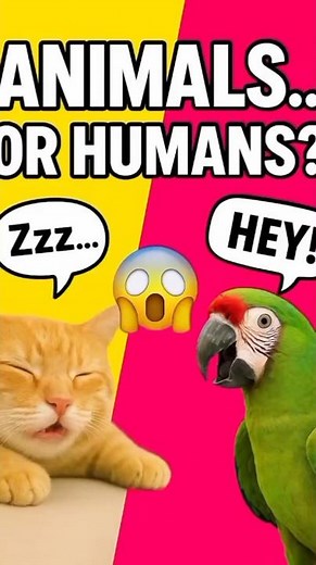 Animals That Talk, Snore, and Scream like People 🤯 #animalfacts #weirdanimals #FunnyAnimalVideos