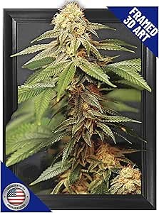 Trippy Marijuana Weed Plant 3D Poster Wall Art Decor Framed Print | 14.5x18.5 | Lenticular Posters & Pictures | Memorabilia Gifts for Guys & Girls Bedroom| Cool Hippie Psychedelic Sativa Pot Leaf Bud