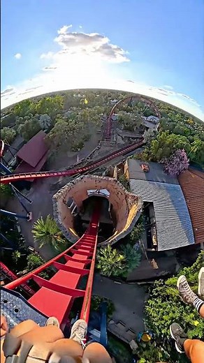Sheikra at Busch Gardens Tampa 2025 10 16