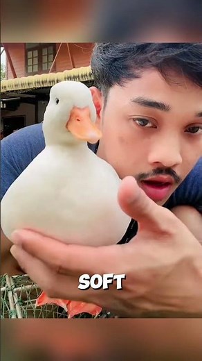 Meet the World's Cutest Duck!