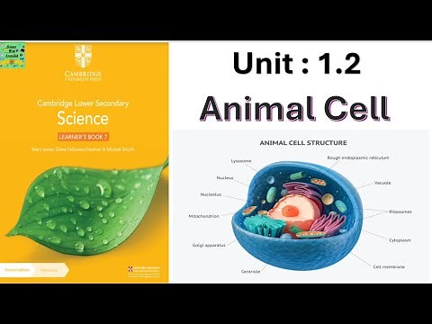 Cambridge lower secondary science grade 7| Animal cell | unit: 1.2|learners book