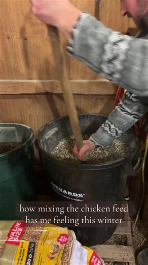 all this work for chickens #horseoftiktok #chickensoftiktok #funny #farmtok