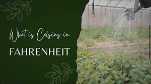 What is Celsius in Fahrenheit?