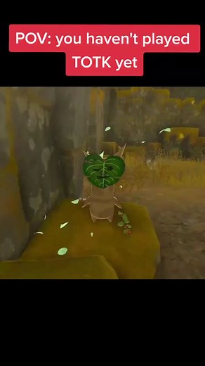 POV you havent played tears of the kingdom yet #berrybebop #totk #tearsofthekingdom