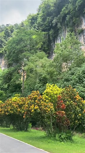 ✨หาเวลา หาโอกาส ไปเติมเต็มสิ่งดีๆ ให้กับตัวเองบ้างนะ 🌥️🌿🌷 #น้ำตกเต่าทอง #พังงา