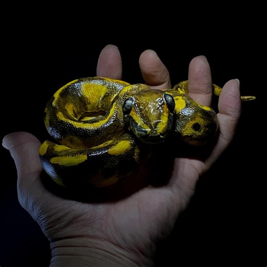 Ball Python Sculpture Art, Realistic Snake Statue, Handmade Reptile Collectible, Gothic Home Decor - Etsy