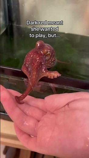 A full circle moment ❤️ #wholesome #animals