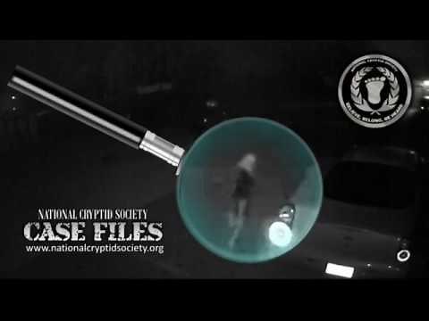 What is that? Strange creature caught on security camera in Youngstown, Ohio