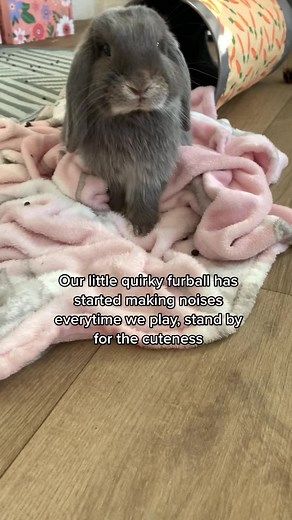 Courtney_and_blue on TikTok