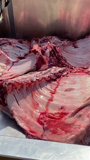 Inside the Butcher Shop – Fresh Giant Beef Cutting Process 🥩 | Satisfying Meat Preparation #shorts