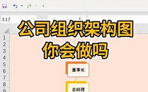 这种漂亮的组织架构图你会做吗？