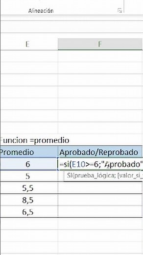 Función SI Excel