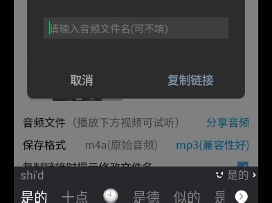 音频转换提取教程