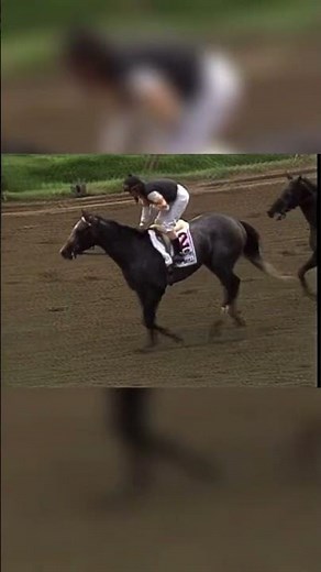 Remembering the legendary HOLY BULL 🐎 #horseracing