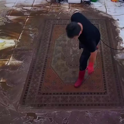 One of the Most Difficult Carpet Cleanings Explained