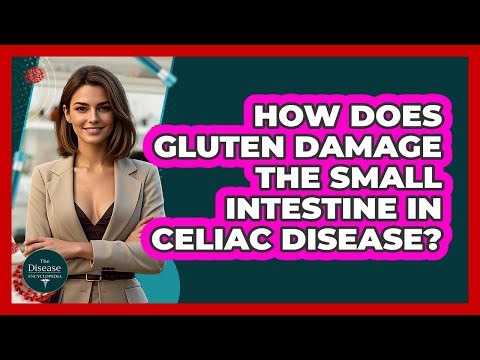 How Does Gluten Damage The Small Intestine In Celiac Disease? - The Disease Encyclopedia