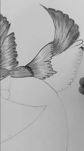How to draw a realistic Birds #stepbystep #drawing #trendingshorts #art