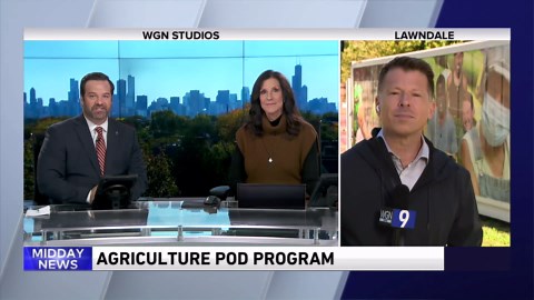 ComEd gives glimpse into shipping container pods aimed at improving urban farming