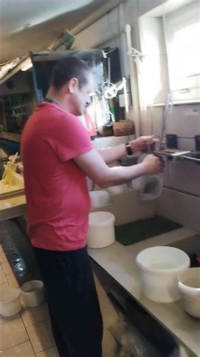 4. ledna 2026 Kousek z naší odchovny akvarijních rybiček