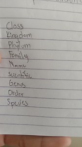 What is the order of the different classification groups?... | Filo