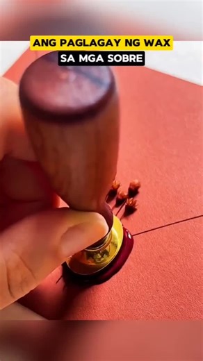 Discover Amazing Movie Facts and Recommendations