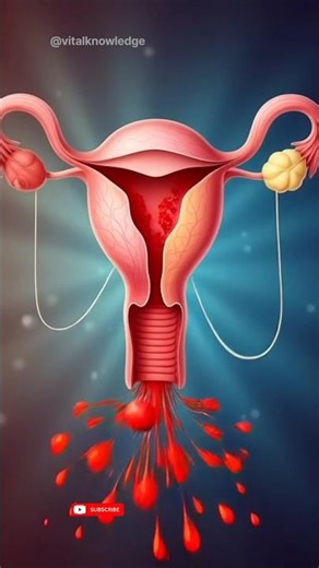The Science of Periods 🩸 | Menstrual Cycle Animation।Gut Health। Medical 3D Animation।