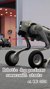 24K views · 178 reactions | See how Go2, a robotic dog produced by robotics firm Unitree, performed somersault stunts at the just-concluded 2024 World Robot Conference (WRC 2024) in Beijing. #WRC #robotic #dog | China Xinhua News | Facebook
