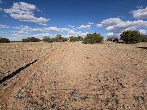 40 Acres Near the Painted Desert — No HOA, No Restrictions | Apache County, AZ