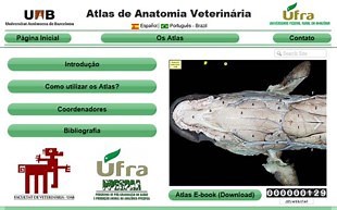 Atlas de los Músculos del perro | anatomia-uab-ufra-pt