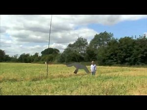 Scarily clever - we try out a range of pigeon scarers