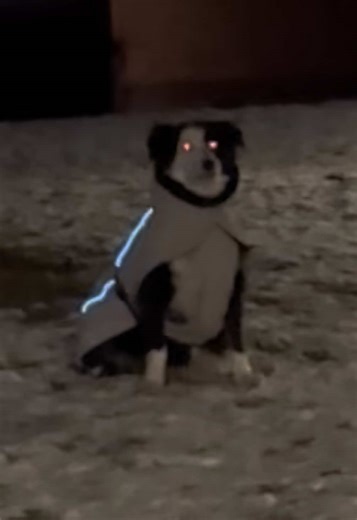 Encountering a Demon: What to Do Next