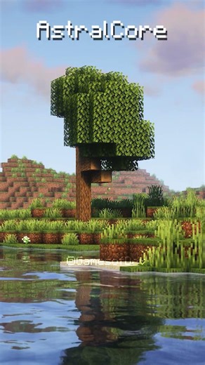 Which Shaders Is The Best