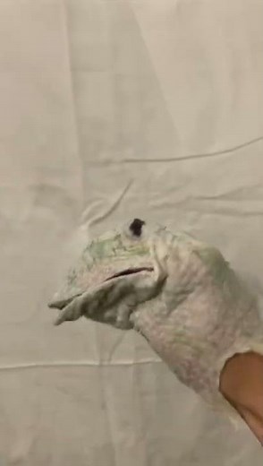 Custom Kermit puppet progression reel￼