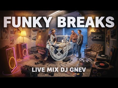 Best funk songs | Funky Breaks DJ Set