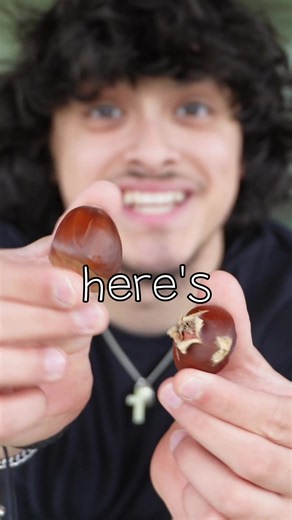 Trying Chestnuts for the First Time — Honest Taste Test
