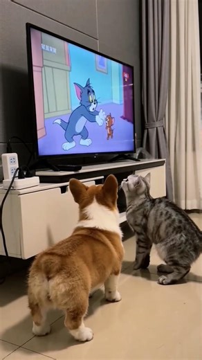 Crazy Dog Dance Moves 🐶🔥 #DogDance #ViralShorts