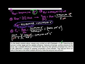 Kinetics Parameters for Catalase Part 2: kcat and efficiency