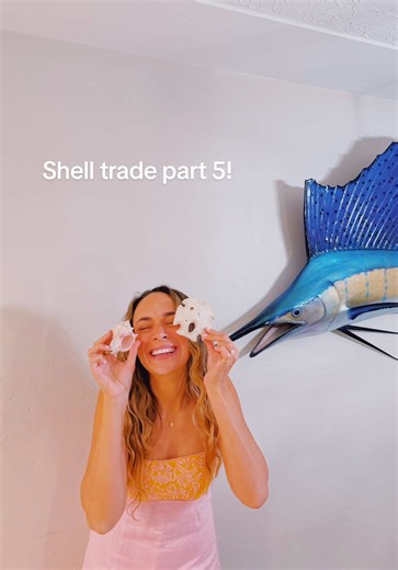 Still can’t believe how special this shell exchange was 🐚 @emma sent me such a thoughtful variety from all across the world and I’m beyond grateful. I hope she loves her box just as much as I loved opening this one!! Comment your favorite shell and comment or DM me if you want to do a shell exchange ✨🌊 #shellexchange #shells #seashells #shellcollecting #beachcombing