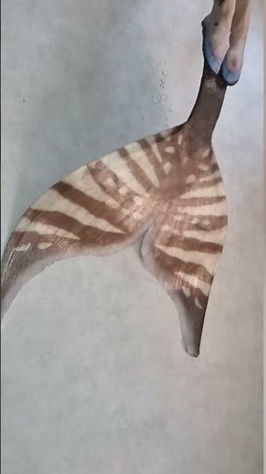 Monofin extended #mermaidtail #mermaid