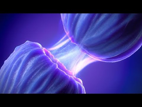 Mechanism of Action Animation | ADHD