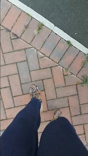 Walking in my Pleaser Adore snakeskin 7 inch high heel boots in public