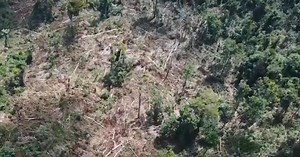 Homes of indigenous tribes destroyed as Amazon fires continue to burn