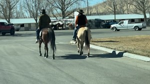 3.2K views · 55 reactions | These two Rock Stars will sell Saturday - dont miss out on a good one! Winnemucca Ranch Hand Rodeo Weekend | Bar Milton Ranch | Facebook