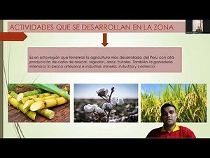 ecosistemas del Perú bosque basimontano región yunga