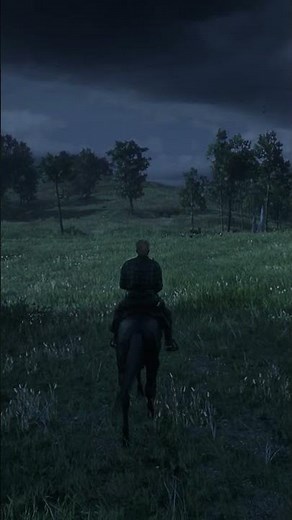 My Horse and I Wild West 🐎🌿 #rdr2