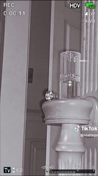 flashlight action Haunted Mansion Jamestown Ky