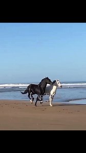 27K views · 372 reactions | You & I | Love Touch | Facebook