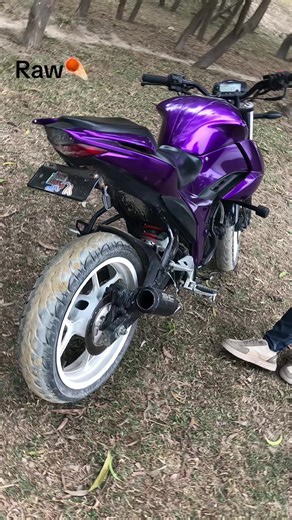 Raw Exhaust Sounds: Experience the Power