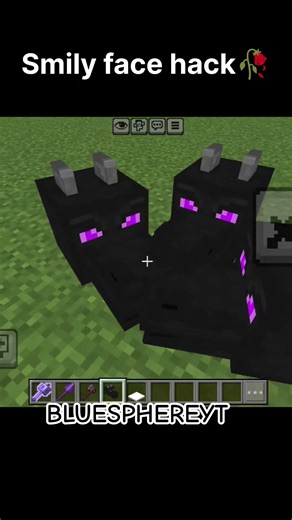 smily face hack🥀 #minecraft @Deadlox_Legend