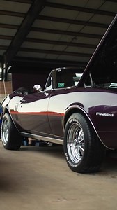 Meet the Pontiac Firebird — born to fly, built to thrill. With sleek lines, a snarling V8, and road-hugging style, this bird doesn't just cruise... it soars. #classiccar #classiccars #musclecars #musclecar #sportscar #classiccarsoftiktok #classiccarsculture #classiccarsdaily #ford #chevrolet #dodge #corvette #mustang #chevelle #musclecarsoftiktok #musclecarsdaily #vintagead #vintage #vintagecar #vintagecars #car #cars #carsoftiktok #trucks #trucksoftiktok #goodoldays #goldendays | 289 Film Co.